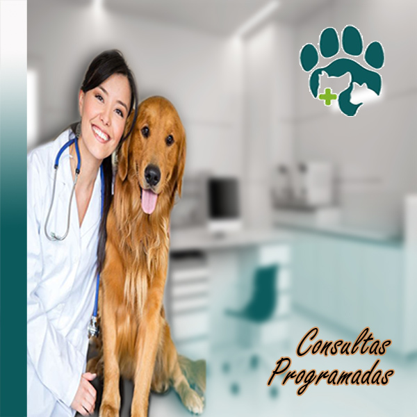 Medicina Preventiva  Especializada. 